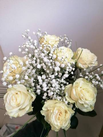 Roses blanches